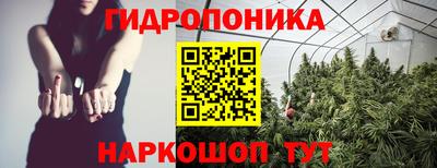 молекула духа Шебекино