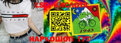 шишки Шелехов