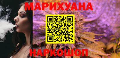 сатива Шахты