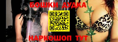 шишки Шелехов
