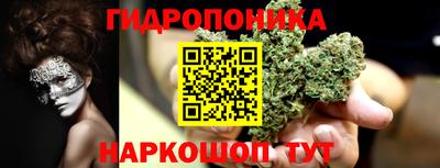 шишки Шелехов