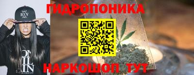 шишки Шелехов
