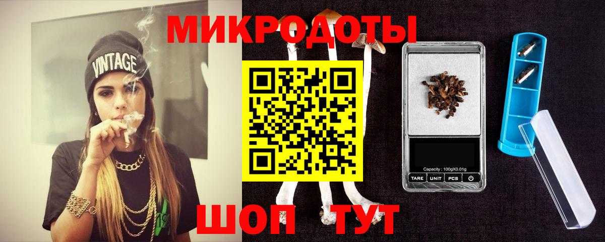 Галлюциногенные грибы Psilocybe Дербент