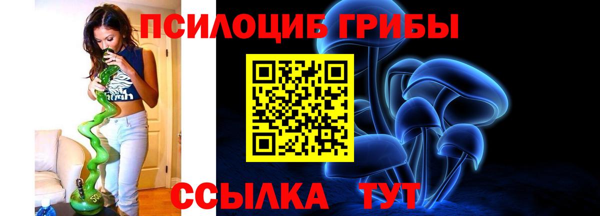 Дербент  Галлюциногенные грибы Cubensis  Псилоцибиновые грибы GOLDEN TEACHER  Вход с VPN 